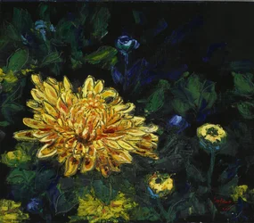 Goldene Chrysanthemenblüte