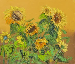Goldene Sonnenblumen