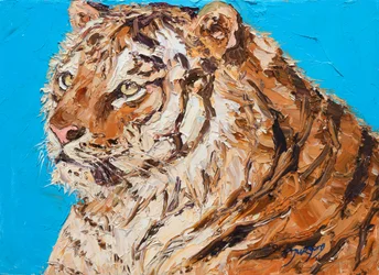 Lebhafter Tigerblick