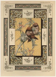 Vögel, Tafel 35 aus 
