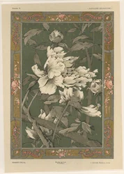 Blumen, Tafel 31 aus 