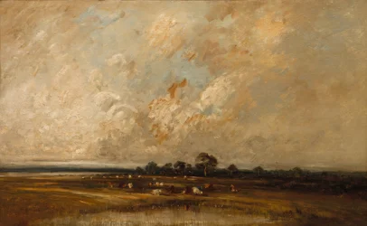 Sumpfland