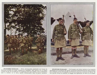 Schottische Infanterie