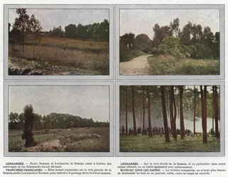 Lenharree, Lenharree, französische Schützengräben, Biwak unter den Tannen