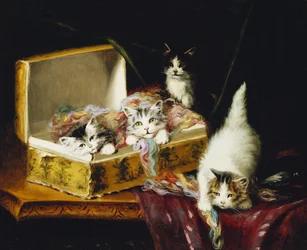 In der Nadelbox