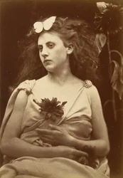 Die Sonnenblume