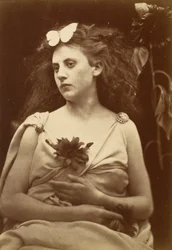 Die Sonnenblume, frühe 1870er