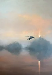 Sonnenaufgang Reiherflug