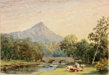 Sugarloaf Hill von Tynnahinch