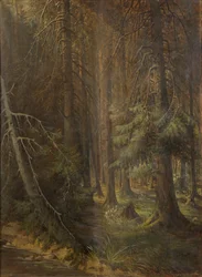 Wald