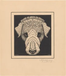 Hundekopf