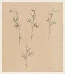Blumenstudien