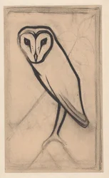 Eule
