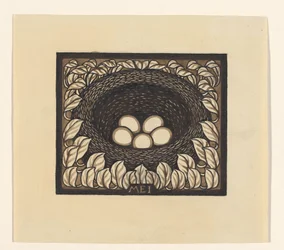 Vogelnest mit Eiern