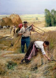 Die Ernte