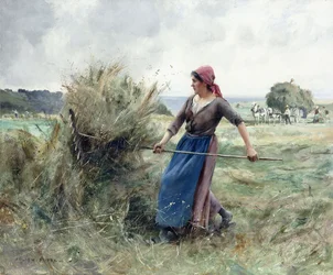 Bauer und Heu