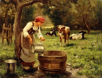 Kühe hüten