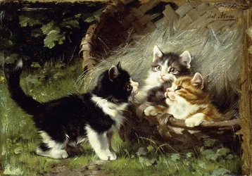 Ist noch Platz im Korb?