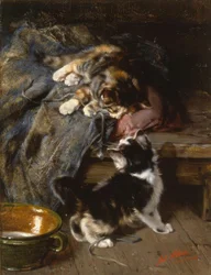 Kätzchen beim Spielen