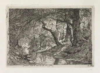 Waldlandschaft mit Bach und Bäumen am Ufer