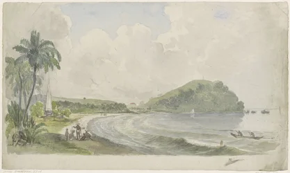 Tropische Küstenlandschaft