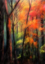 Herbstwaldglanz