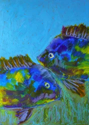 Lebendige tropische Fische