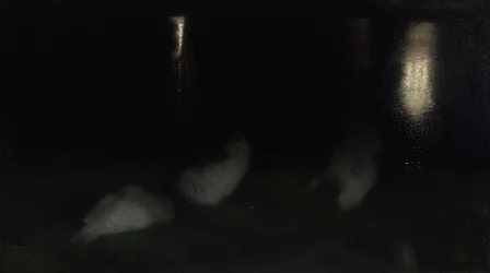 Nocturne. Schwäne im Sächsischen Garten in Warschau bei Nacht
