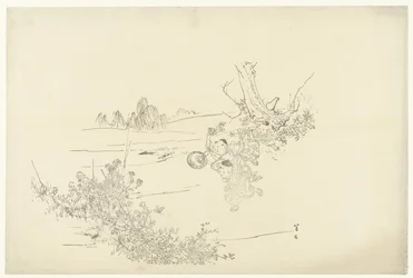 Schmetterlinge fangen