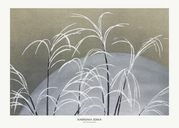 Frost aus Momoyogusa