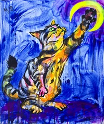 Verspielte Katzenmond