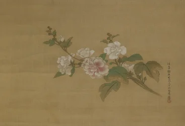 Ein Zweig blühender Hibiskus, Edo-Periode