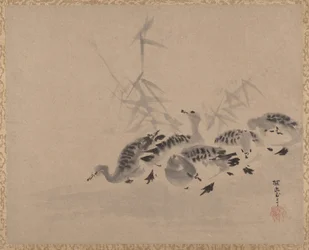 Enten und Schilf, ca. 1650