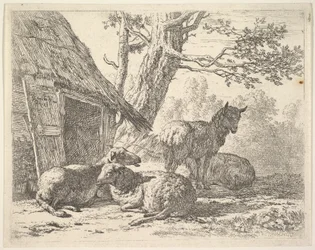 Vier Schafe, eines steht unter drei anderen, die auf dem Boden neben einem Schuppen liegen, 1658