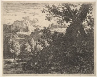 Baum mit freigelegten Wurzeln neben einem Bach, hügelige Landschaft und ein Mann, der dahinter geht