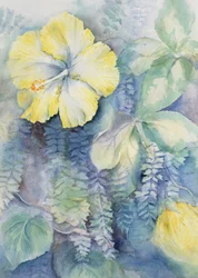 Hibiskus, gelb