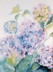 Hortensie, Blaue Welle I