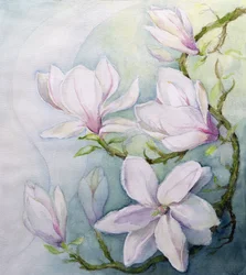 Magnolien