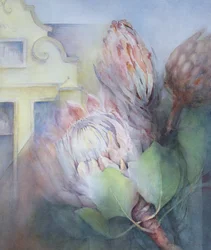 Protea in Stellenbosch, 1992