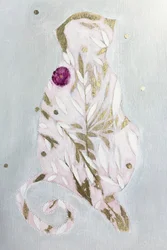 Rosa botanische Katze