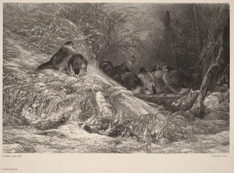Im Schutz vor dem Frost