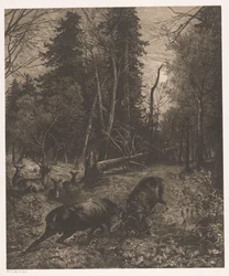 Waldlandschaft mit zwei kämpfenden Hirschen