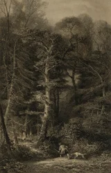 Waldinneres