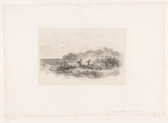 Landschaft mit zwei Weißwedelhirschen