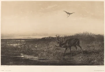 Der Abend. Hirsch und Reiher