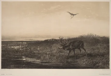 Der Abend. Hirsch und Reiher
