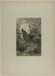 Pfauen auf einem Ast