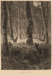 Rückkehr nach Hause