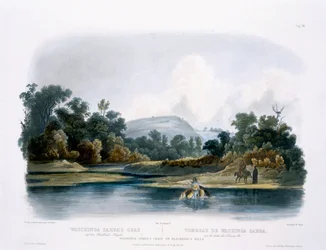 Washinga Sahbas Grab auf Blackbird