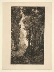Route montante à Auvers